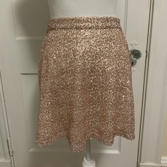Rose Gold sequin mini skirt from American Eagle - Picture 1 of 10